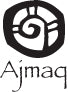 Ajmaq