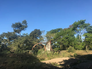 Guatemalan Cacao growing village
